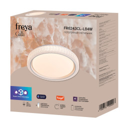 Накладной светильник Freya FR6243CL-L84W