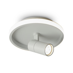Накладной светильник Freya FR6040CL-L14W