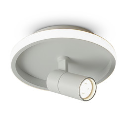 Накладной светильник Freya FR6040CL-L14W