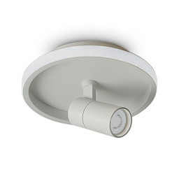 Накладной светильник Freya FR6040CL-L14W