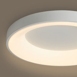 Накладной светильник Freya FR6157CL-L65W