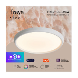 Накладной светильник Freya FR6211CL-L24W