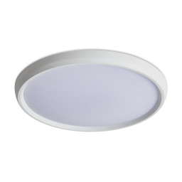 Накладной светильник Freya FR6211CL-L24W