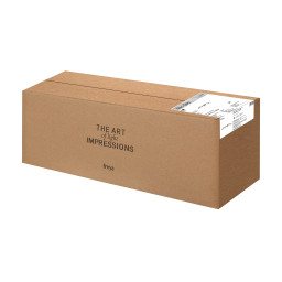 Накладная люстра Freya FR6201CL-L150GB