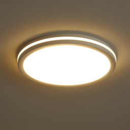 Накладной светильник Freya FR6160CL-L40W