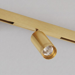 Светильник на шине Denkirs DK4745-SB
