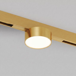 Светильник на шине Denkirs DK4761-SB