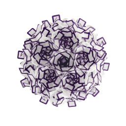Накладной светильник LOFT IT 10231/780C Purple