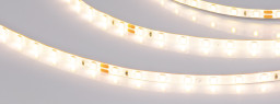 Лента Arlight 064331
