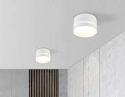 Влагозащищенный светильник Ambrella Light TU5391