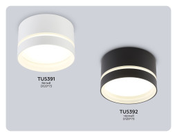Влагозащищенный светильник Ambrella Light TU5391