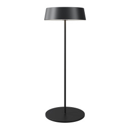 Уличный настольный светильник Maytoni O540TL-L2BCCT