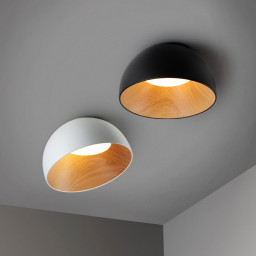 Накладной светильник ImperiumLoft 224007-23