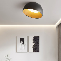 Накладной светильник ImperiumLoft 224007-23