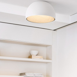 Накладной светильник ImperiumLoft 224007-23