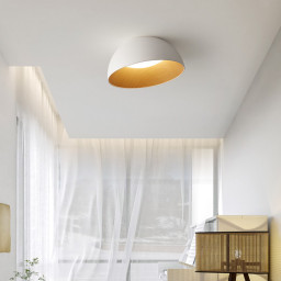 Накладной светильник ImperiumLoft 224007-23