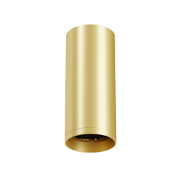 Накладной светильник Maytoni C010CL-01MG-N