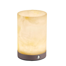 Уличный настольный светильник Odeon Light 7190/2TL