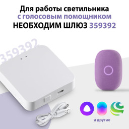 Светильник на шине Novotech 359689