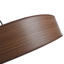 Подвесная люстра LUMION 8420/6A