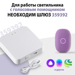 Светильник на шине Novotech 359670