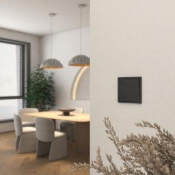 Выключатель Denkirs DK-S01PB1-BK