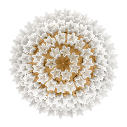 Накладная люстра LOFT IT 10580C/800 White