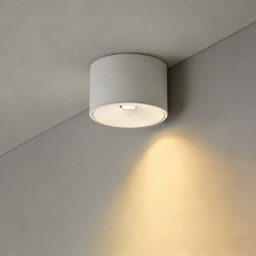 Накладной светильник WERTMARK WTA.O06.007.30.12
