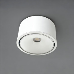 Накладной светильник WERTMARK WTA.O06.007.30.12