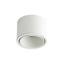 Накладной светильник WERTMARK WTA.O06.007.40.07