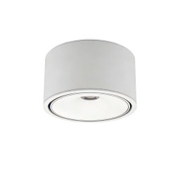 Накладной светильник WERTMARK WTA.O06.007.40.12