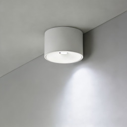 Накладной светильник WERTMARK WTA.O06.007.40.12