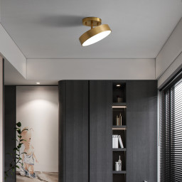 Накладной светильник ImperiumLoft 167275-26
