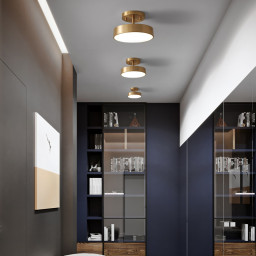Накладной светильник ImperiumLoft 167275-26