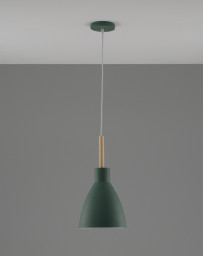 Подвесной светильник Moderli V10651-1P